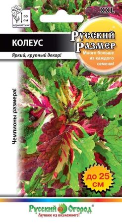 Колеус смесь, семена Русский огород Русский размер 4шт
