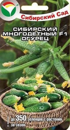 Огурец Сибирский многодетный F1, семена Сибирский сад 7шт