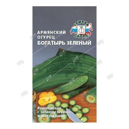 Дыня Армянский огурец Богатырь зеленый, семена Седек 0,5г