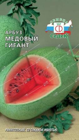 Арбуз Медовый гигант, семена Седек 1г