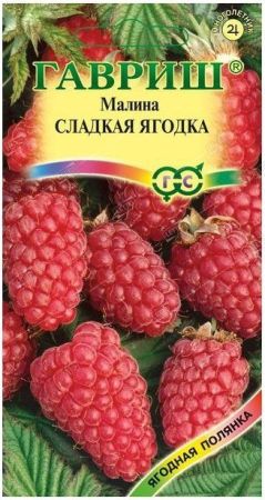 Малина Сладкая ягодка, семена Гавриш 10шт