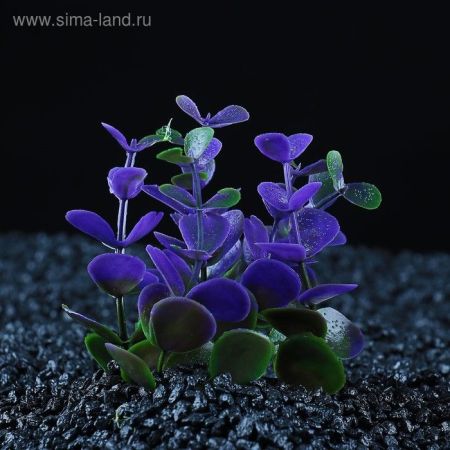 растение искусственное аквариумное кустовое 10 см, фиолетовое, пижон аква