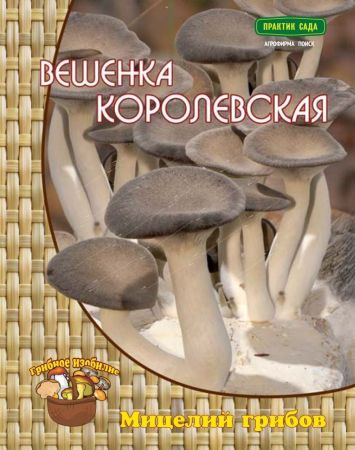 Вешенка Королевская, мицелий грибов Поиск 12шт