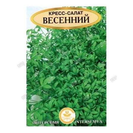 Салат Кресс-салат Весенний, семена Интерсемя 0,5г