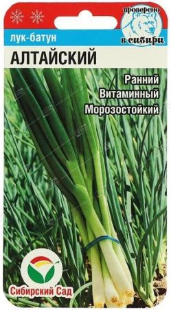 Лук-батун Алтайский, семена Сибирский сад 0,5г