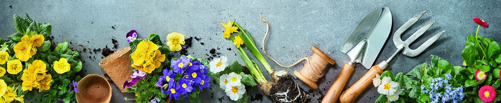 О компании — LETTO