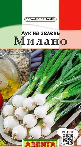 Лук репчатый на зелень Милано, семена Аэлита Сделано в Италии 0,5г