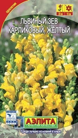 Львиный зев карликовый желтый, семена Аэлита 10шт