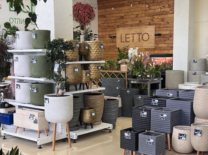 Бесплатная пересадка комнатных растений