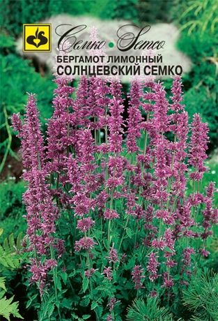 Бергамот лимонный Солнцевский Семко, семена Семко 0,05г