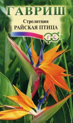 Стрелиция Райская птица, семена Гавриш 3шт