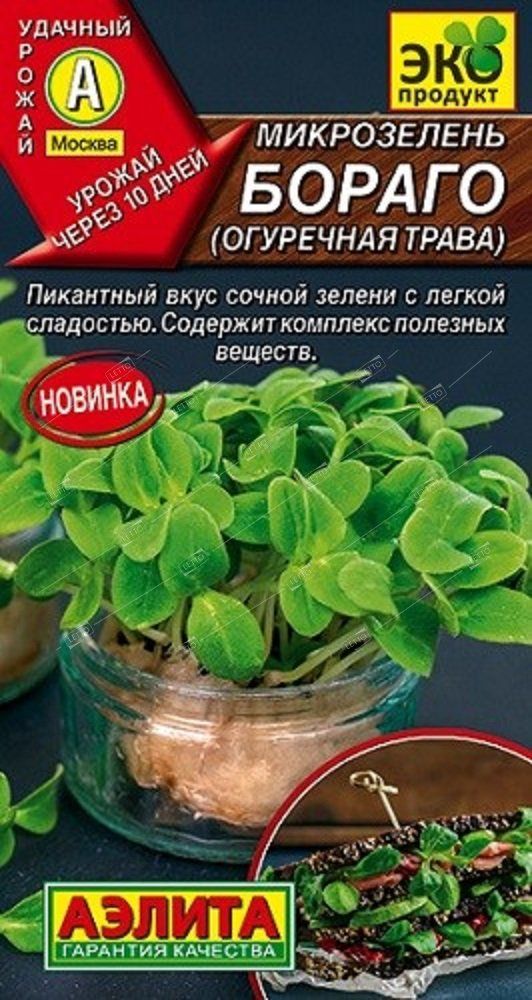 Микрозелень Семена Купить Москва Магазины Адреса Микрозелень Семена Купить Москва Магазины Адреса