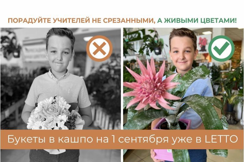 Не забывайте традиции, дарите цветы учителям! Не забывайте традиции, дарите цветы учителям!