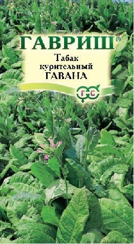 Табак курительный Гавана розовоцветковый, семена Гавриш 0,01г