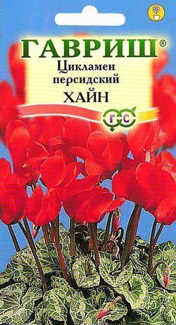 Цикламен Хайн, семена Гавриш 3шт