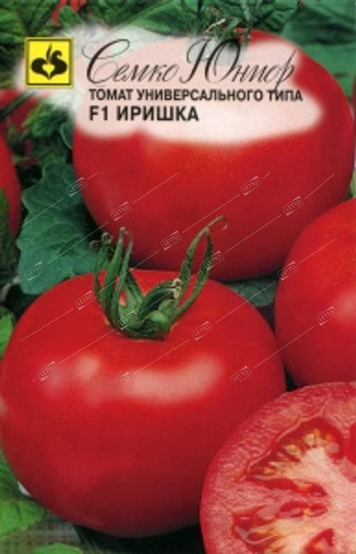 Томат Семко Отзывы Фото