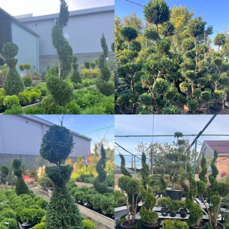 Оригинальные формы сейчас в моде!