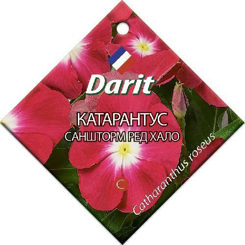 Катарантус Саншторм Ред Хало, семена Дарит 10шт (500)