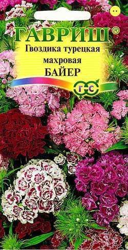 Гвоздика турецкая махровая Байер смесь, семена Гавриш 0,1г