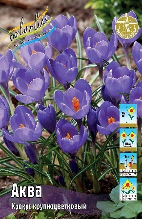 Крокус Аква Crocus Aqua 7/8 10шт, капер, Клолрлайн