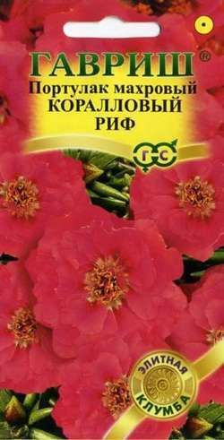 Портулак Коралловый риф, семена Гавриш Элитная клумба 0,01г