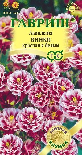 Аквилегия Винки красная с белым, семена Гавриш Элитная клумба 5шт