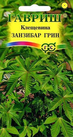 Клещевина Занзибар Грин, семена Гавриш 5шт