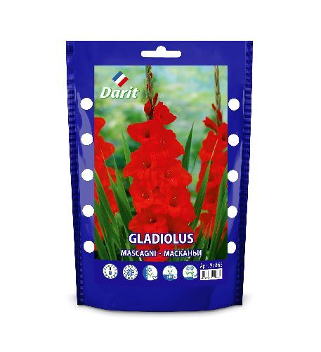 Дой-пак Гладиолус Масканьи Gladiolus Mascagni 12/+ (крупноцветк., баттерфляй, красный) 7шт