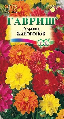 Георгина Жаворонок смесь, семена Гавриш 0,3г