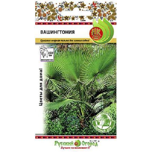 Пальма Вашингтония, семена Русский огород 3шт