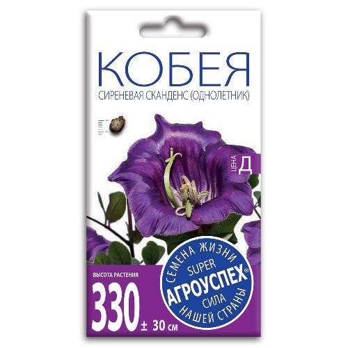 Кобея Сканденс сиреневая, семена Агроуспех 0,25г/4шт (300)