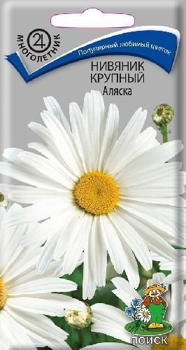 Ромашка (нивяник) Аляска, семена Поиск 0,5г