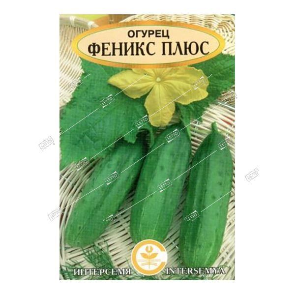 Феникс Плюс Интернет Магазин