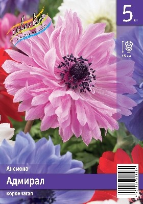 Анемона Адмирал Anemone coronaria The Admirall 6/7 5шт, капер, Колорлайн