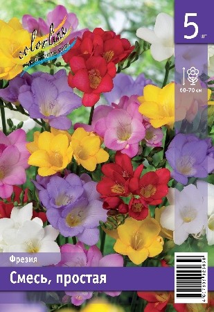 Фрезия Смесь Простая Freesia Single Mixed 5/6 5шт, капер, Колорлайн