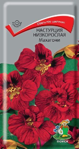 Настурция Махагони низкорослая, семена Поиск 1г