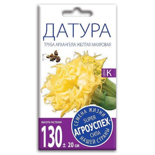 Датура Труба Архангела желтая махровая, семена Агроуспех 3шт (400)