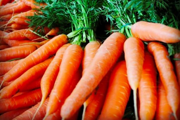 Как вырастить морковь в огороде из семян?