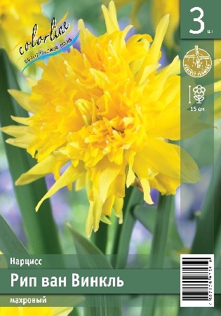 Нарцисс Рип Ван Винкль Narcissus Rip Van Winkle z10-12 7шт, капер, Колорлайн