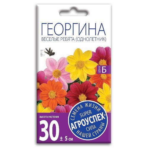 Георгина Веселые ребята, семена Агроуспех 0,2г (300)
