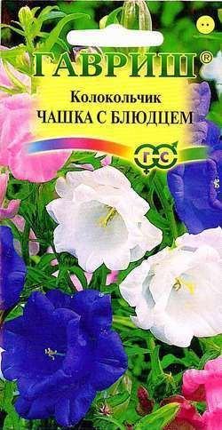 Колокольчик Чашка с блюдцем, семена Гавриш 0,05г