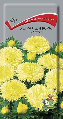 Астра Леди корал желтая, семена Поиск 0,1г