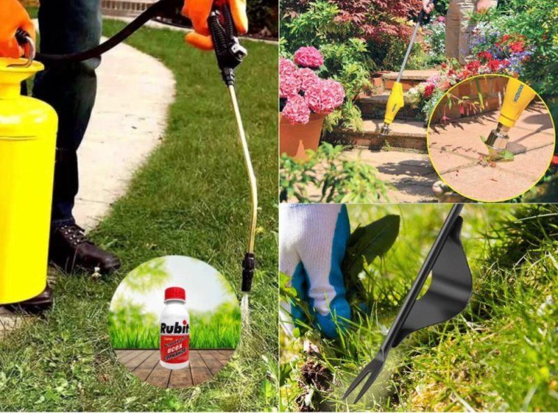 Рейтинг эффективных способов уничтожения сорняков