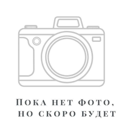 Кипарисовик Нутканский «Пендула». Новинка! — полезные статьи
