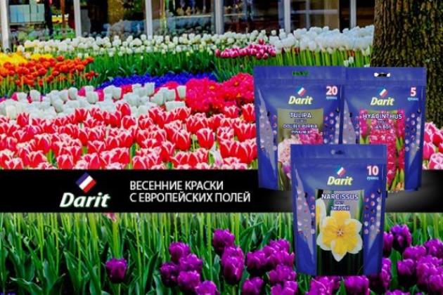 Новинка - луковичные цветы от DARIT Новинка - луковичные цветы от DARIT