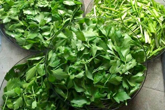 ЛЮБИСТОК - его вкусовые качества и особенности выращивания.