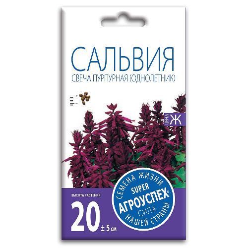Сальвия Свеча пурпурная F1, семена Агроуспех 10шт (500)