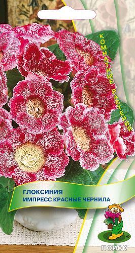 Глоксиния Импресс Красные чернила, семена Поиск 5шт
