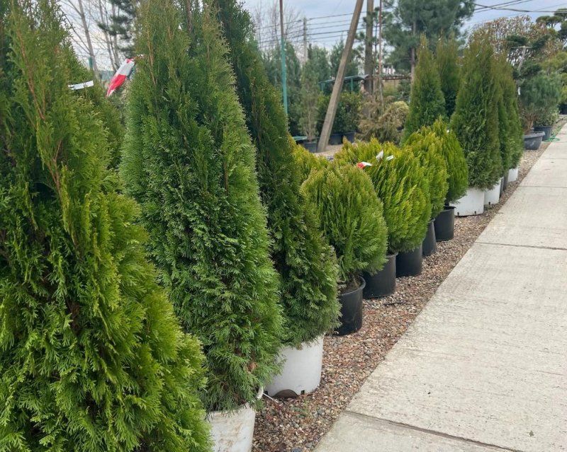 Как правильно проводить весеннюю перекопку почвы.