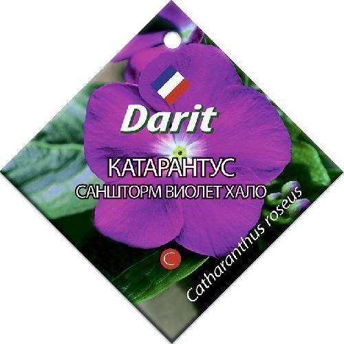 Катарантус Саншторм Виолет Хало, семена Дарит 10шт (500)